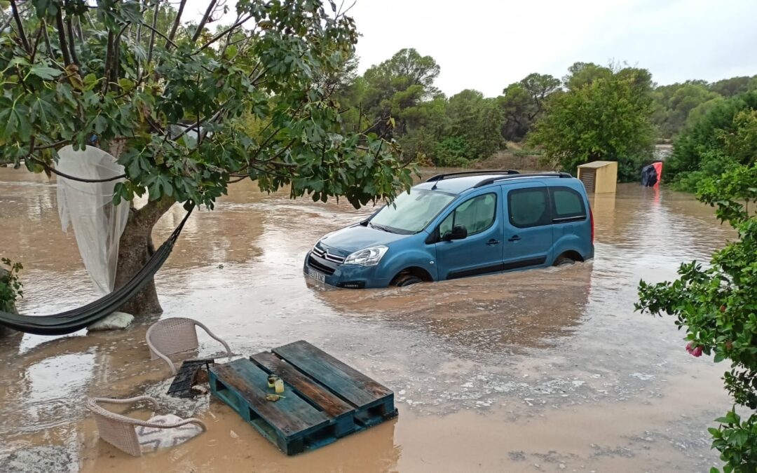 Inundaciones: gestiones del Colegio para agilizar la atención a los vehículos afectados